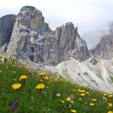 Sporthotel Enrosadira Campitello di Fassa Bagian luar foto